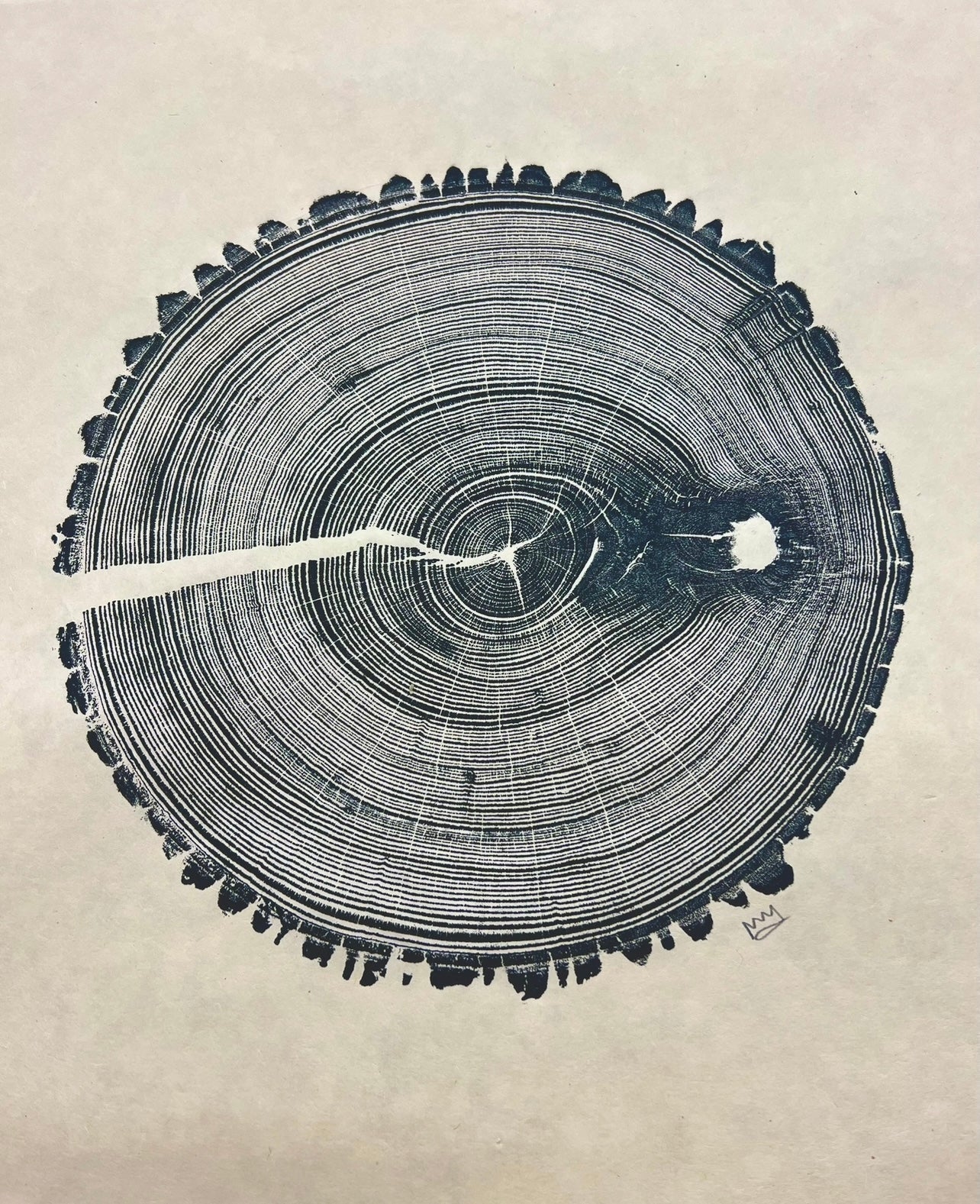 American Elm #1 Tree Print Framed