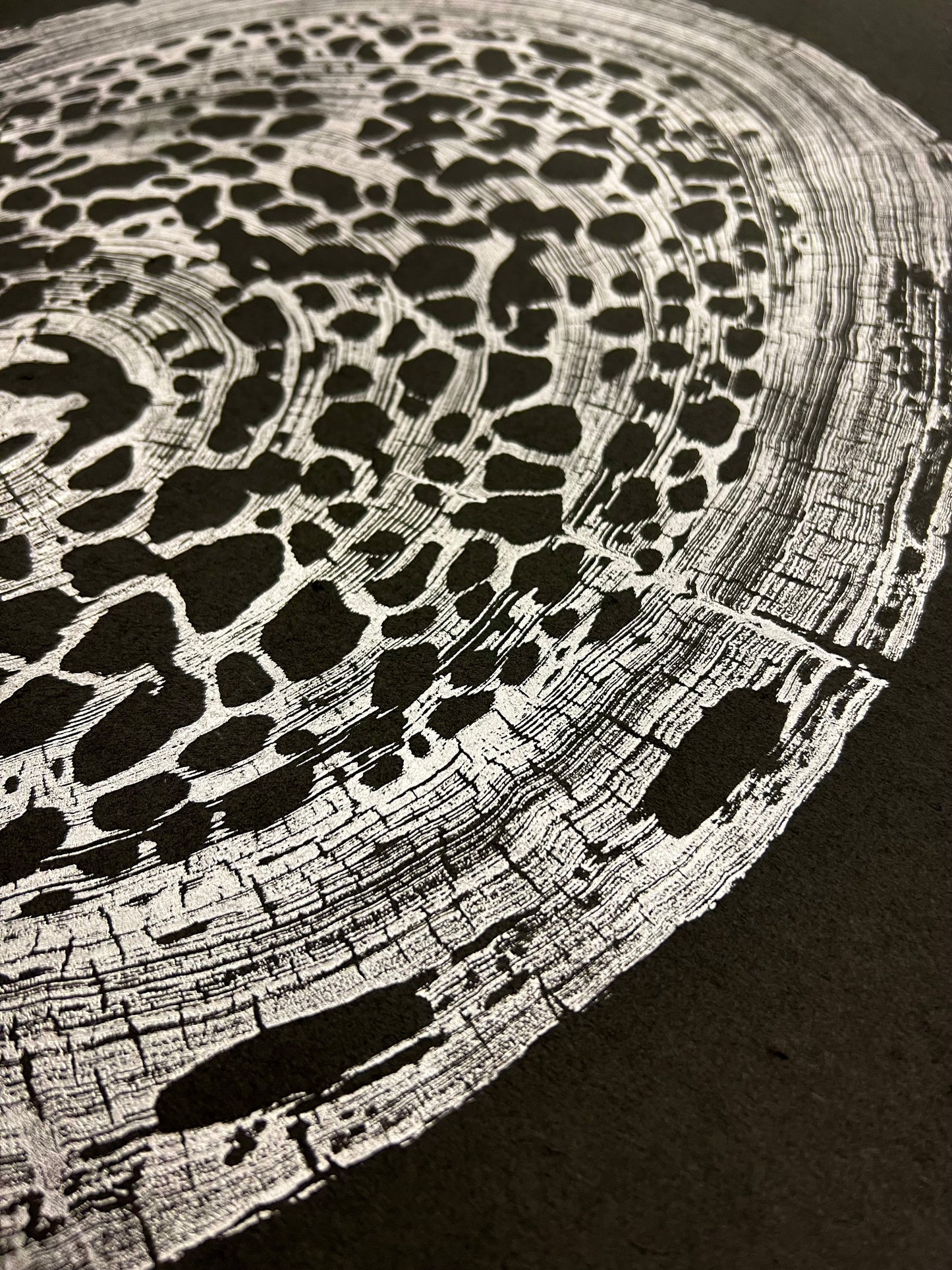 “Silver Sinker Cypress” Tree Print