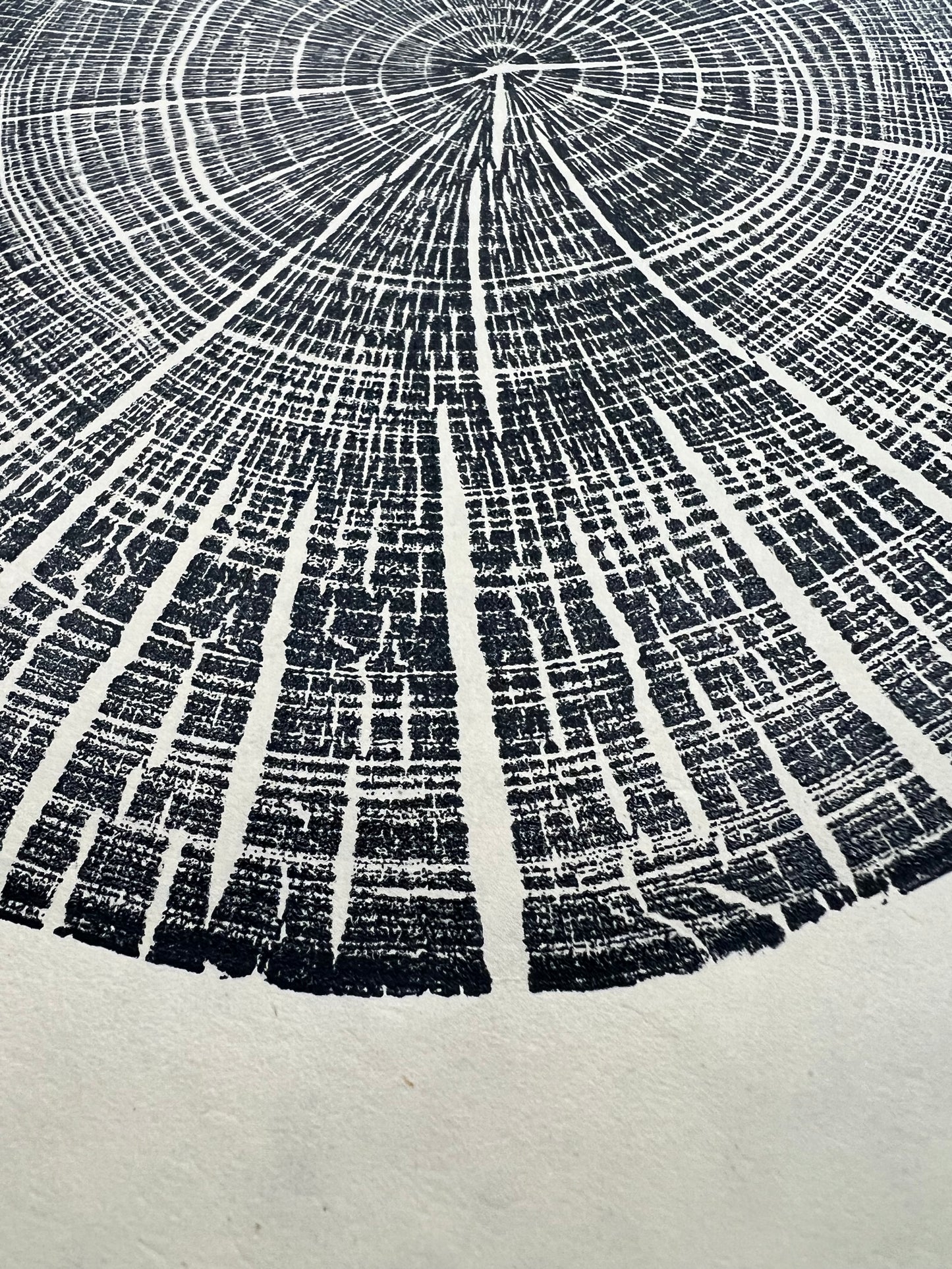 Sycamore Day 50 Tree Print