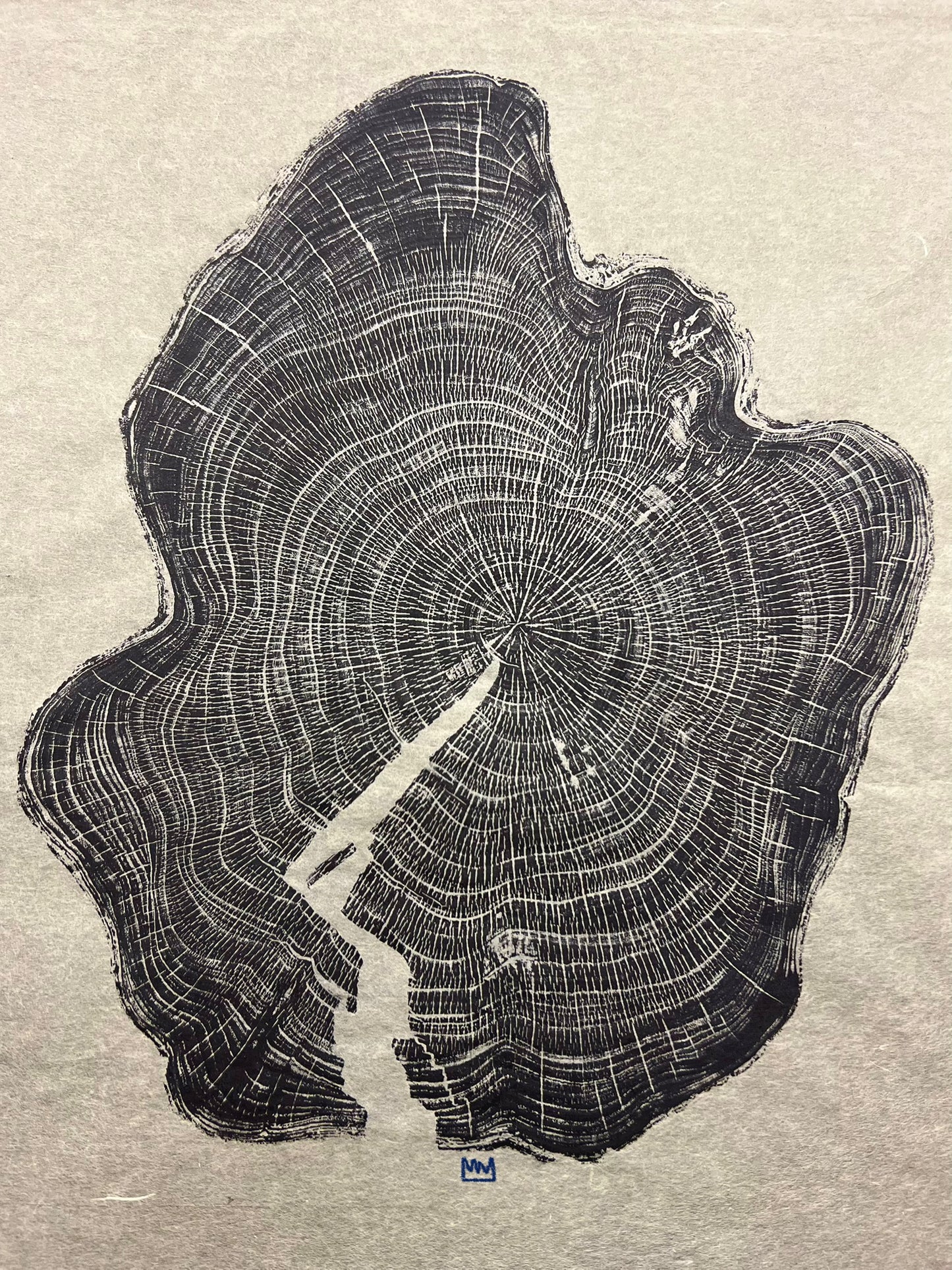 “Leyland Cypress #1” Tree Print
