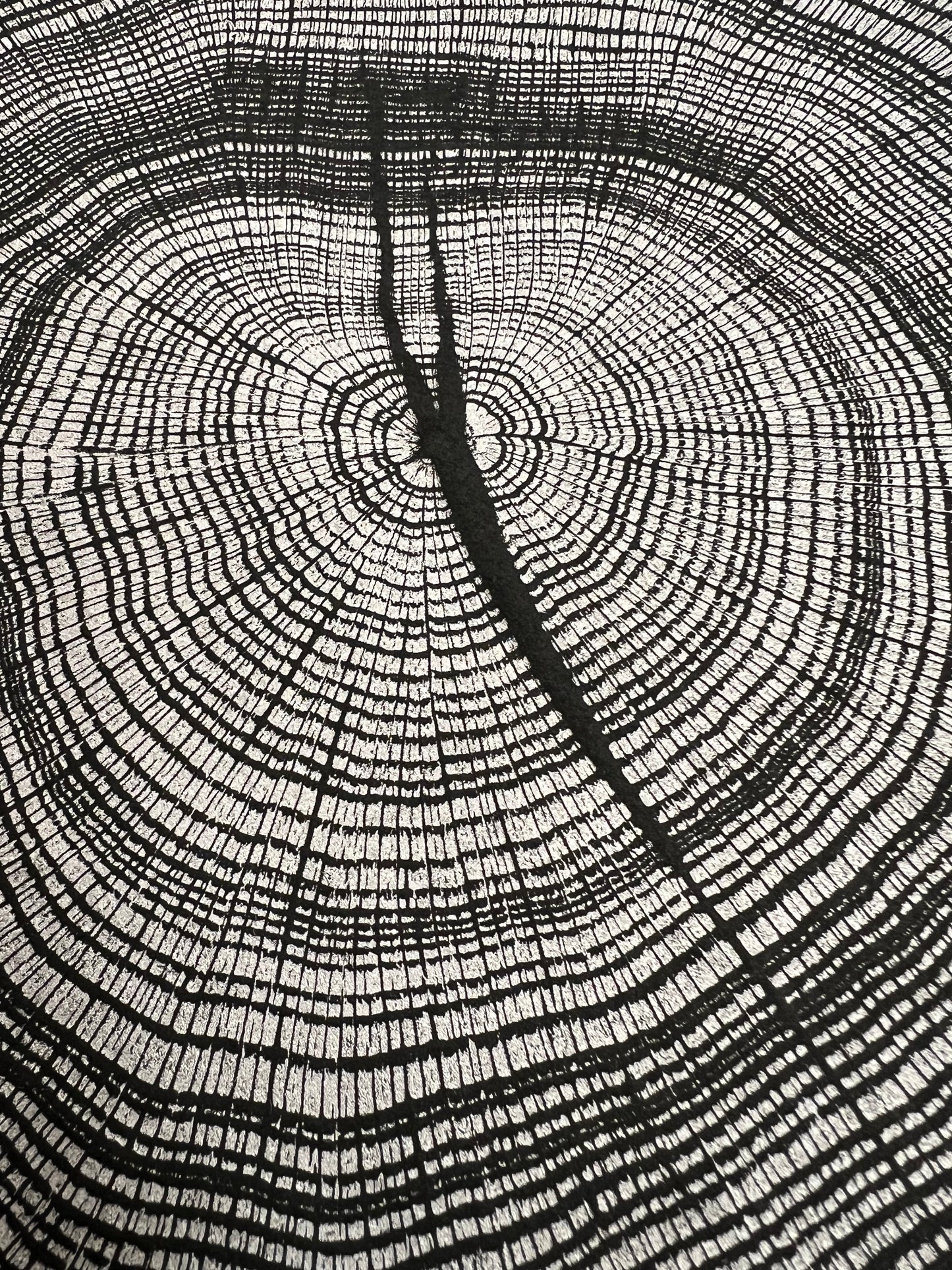 Day 14 “Silver Water Lines” Swamp Oak Tree Print