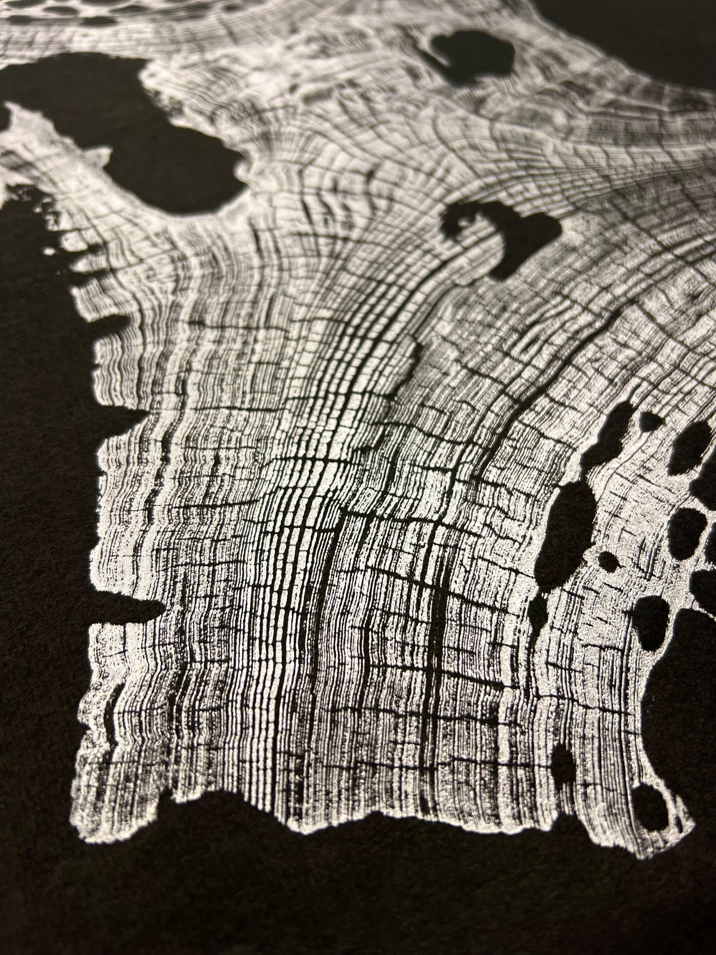 “Silver Sinker Cypress” Tree Print