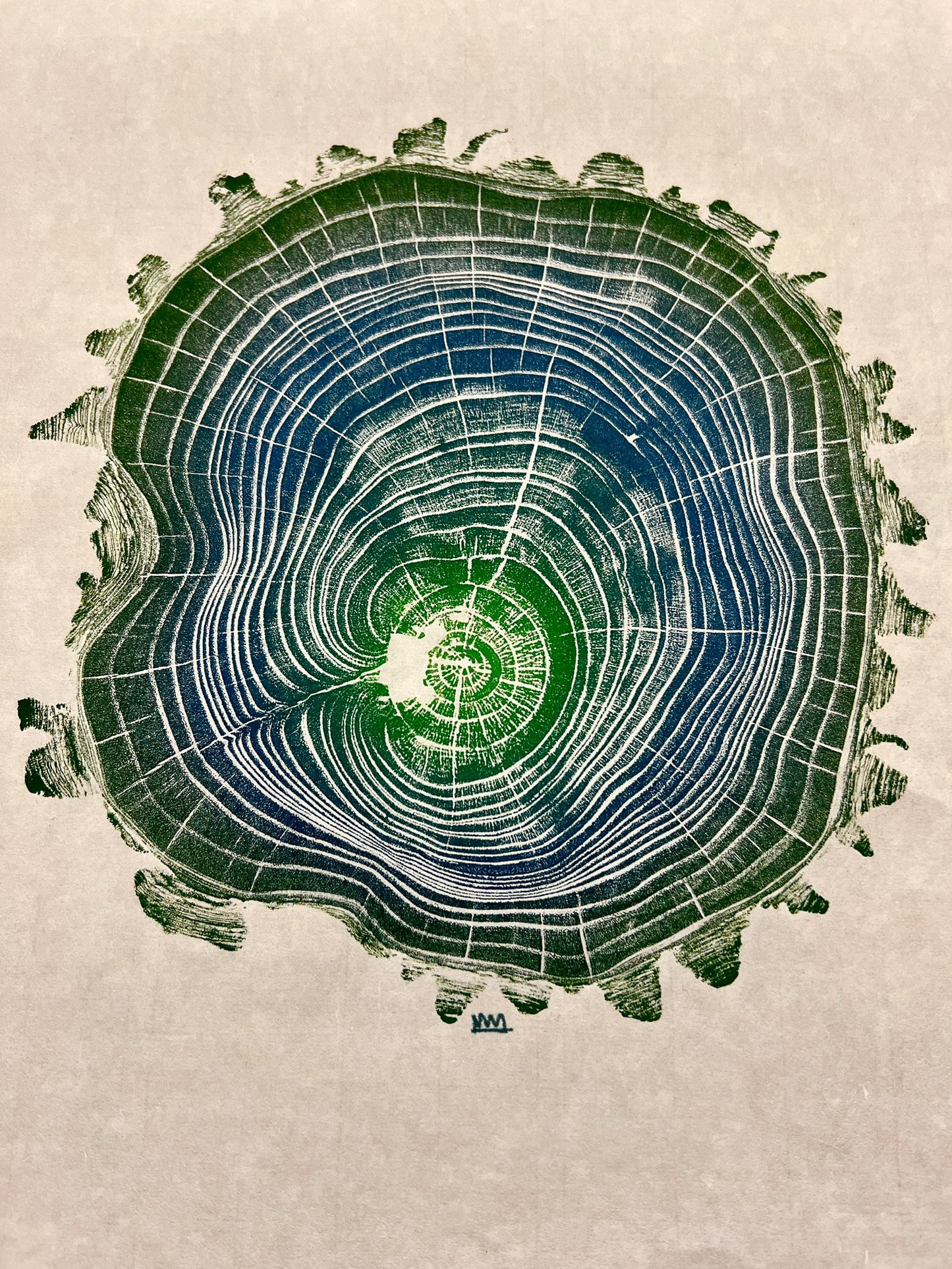 Black Locust # 66 Tree Print (Special Edition)