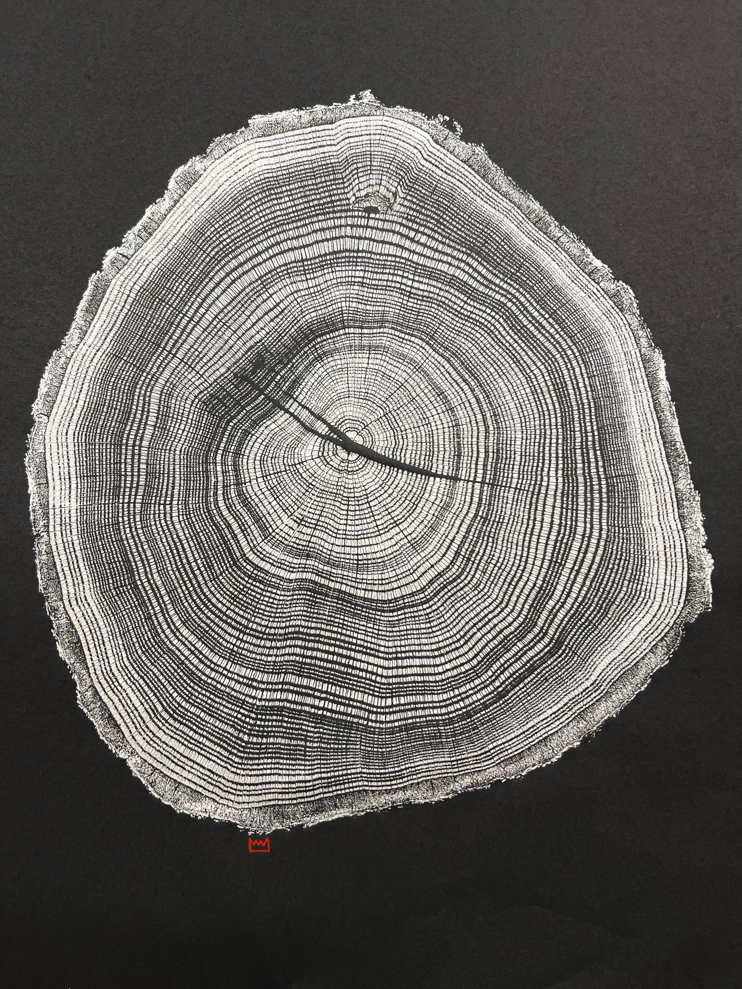 Day 14 “Silver Water Lines” Swamp Oak Tree Print