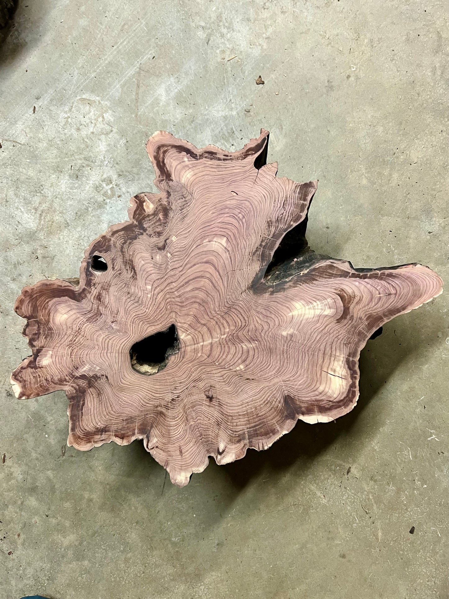 Day 13 “Dragon” ERC Tree Print