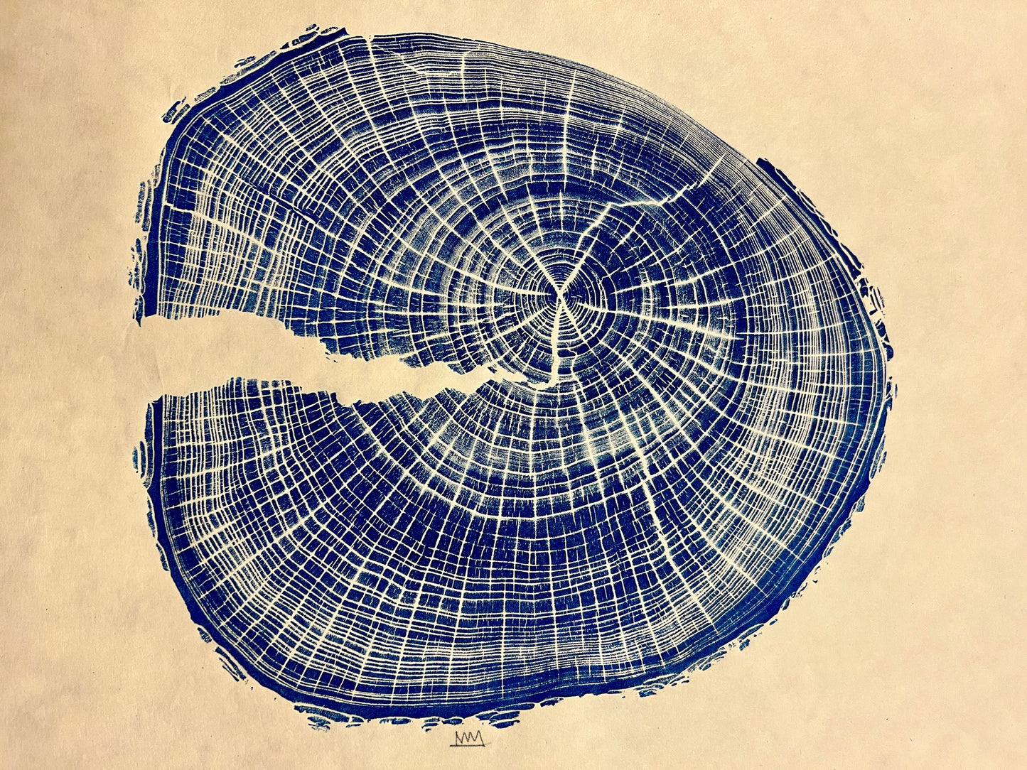 “Terrapin Elm” American Elm Tree Print