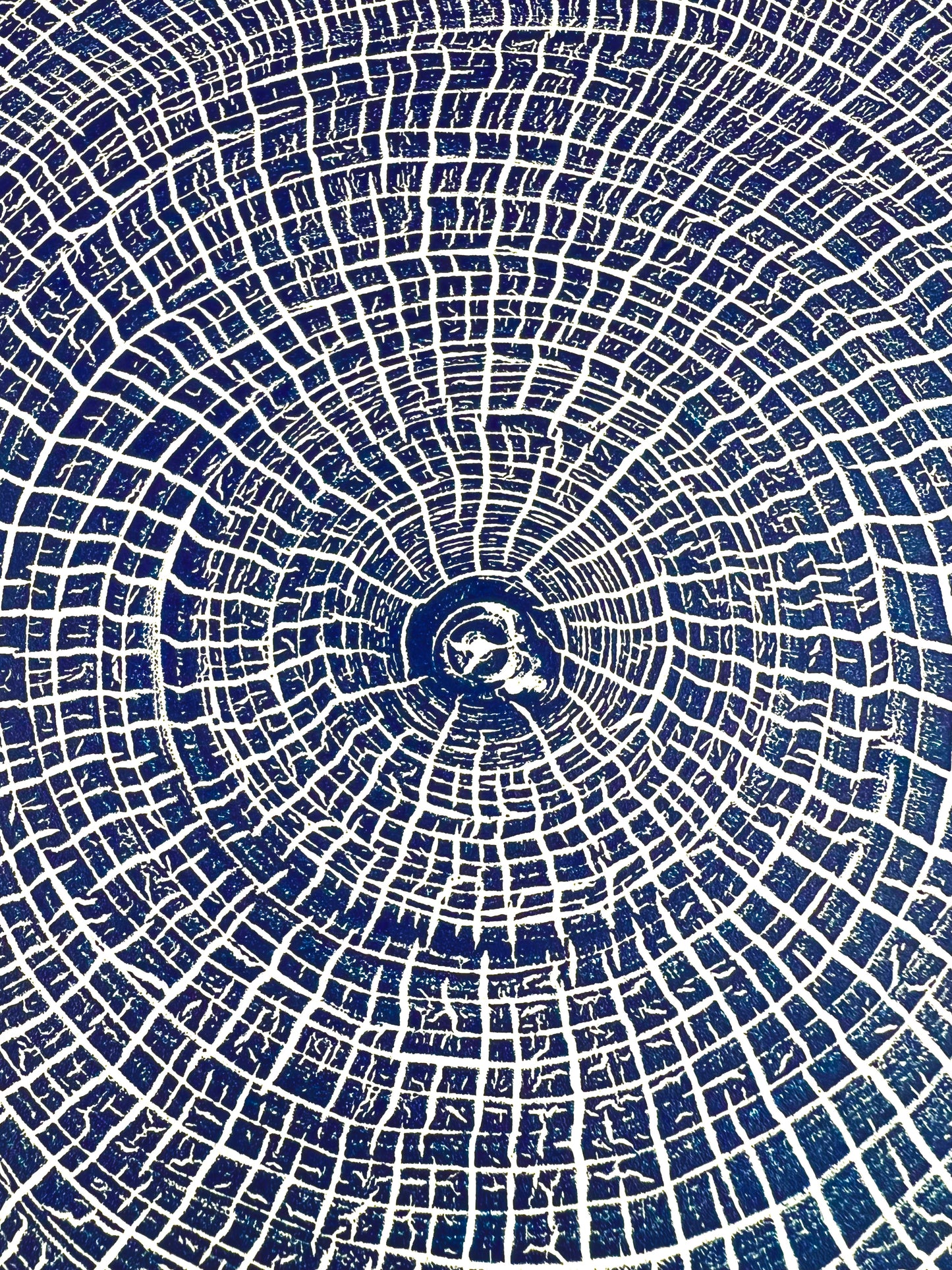 Sycamore number 3 tree print