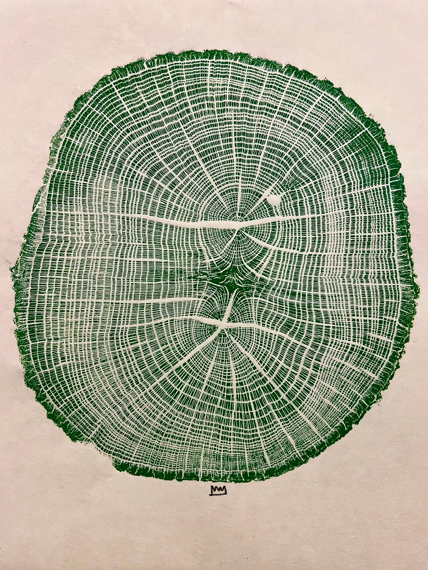 Day 8 Swamp Oak Tree Print