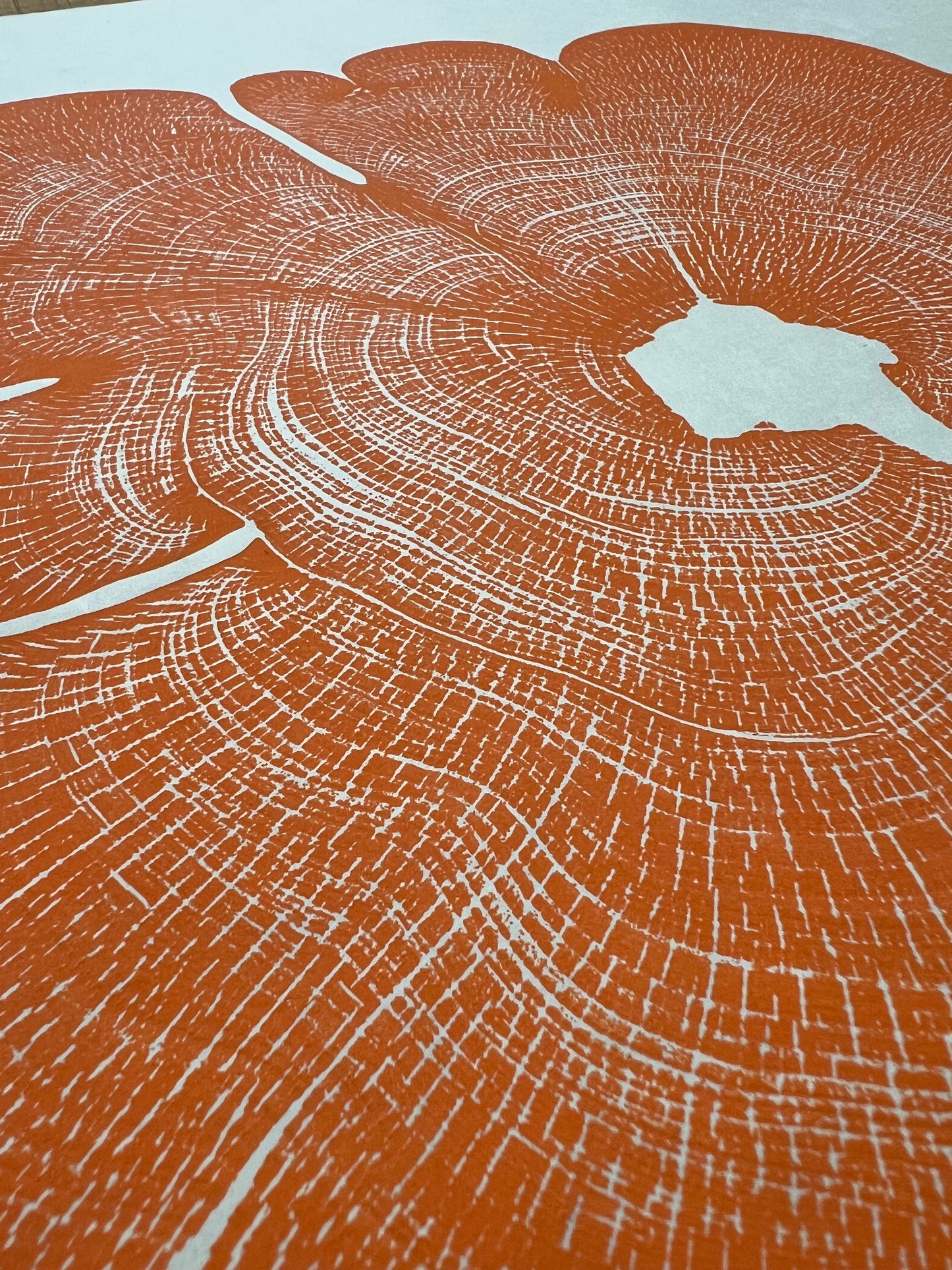 Eastern Red Cedar No. 67 Tree Print