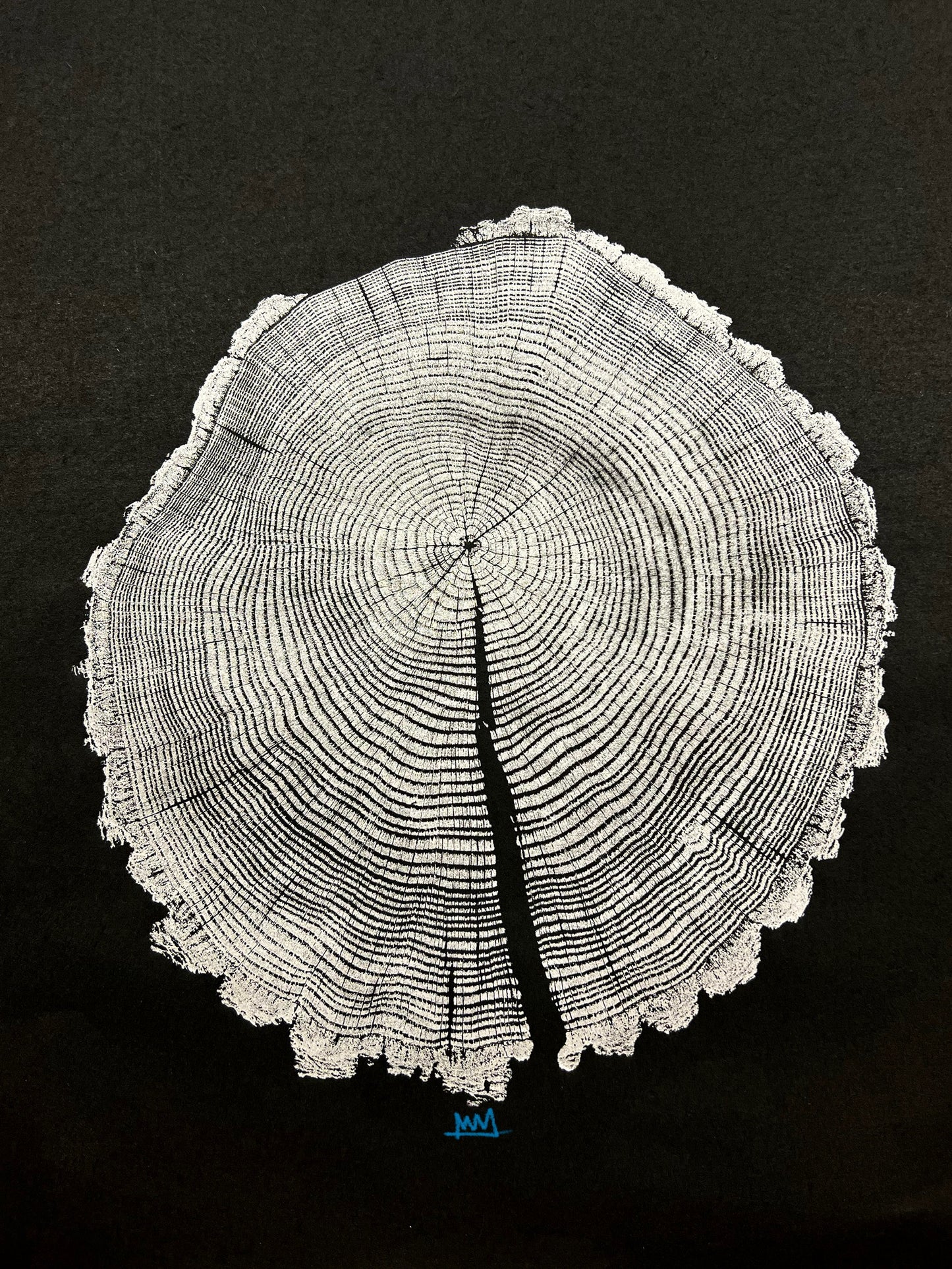 “Silver Drip” Chestnut Oak Tree Print