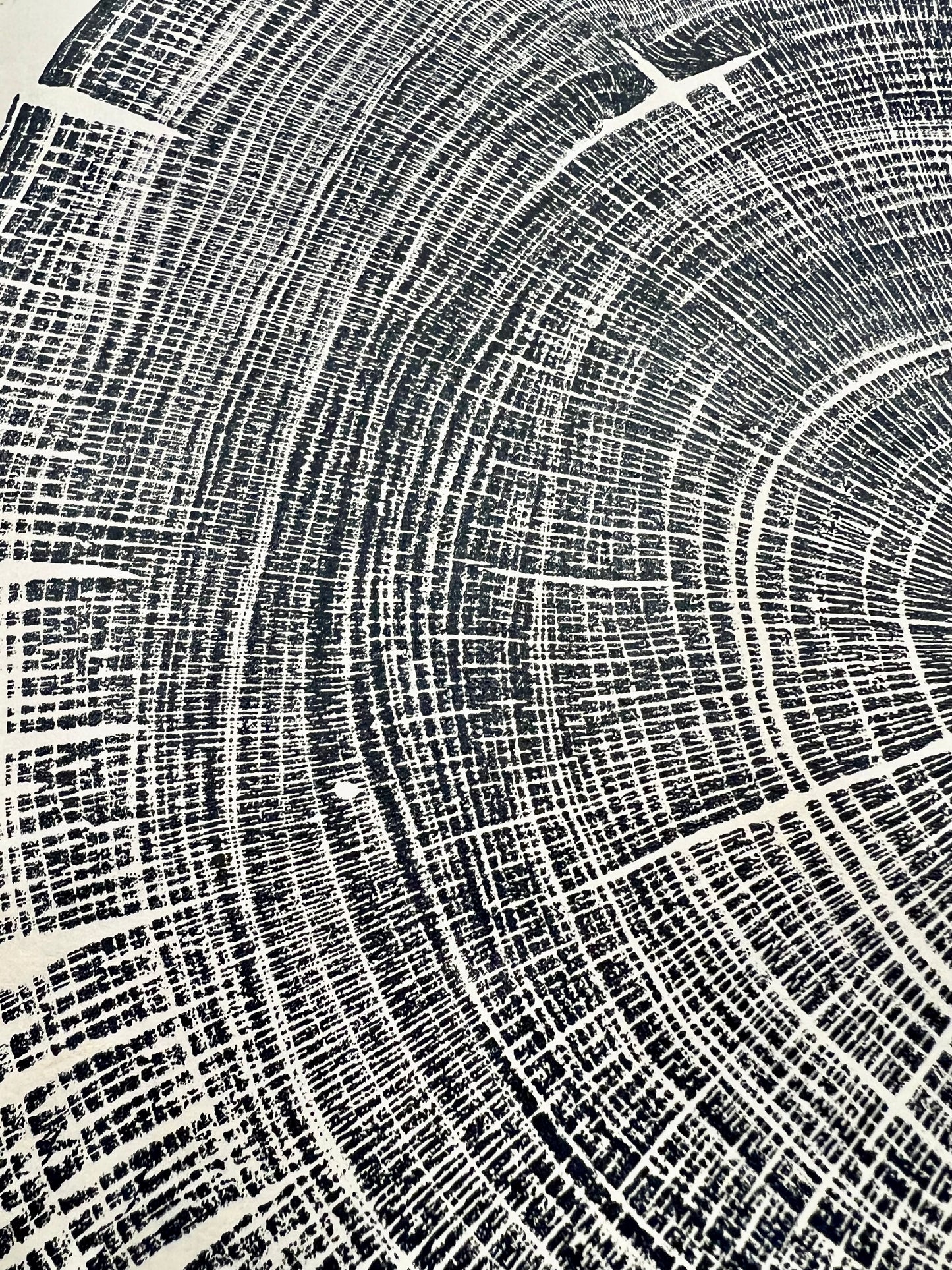 Sycamore Day 50 Tree Print