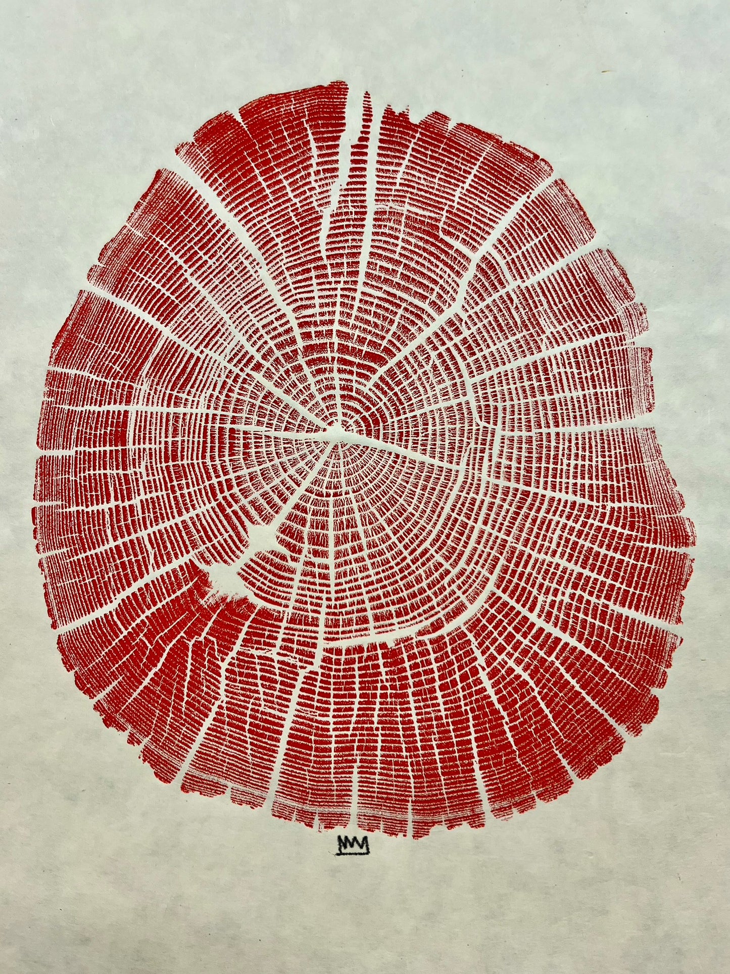 “Fissures” Black Locust Tree Print