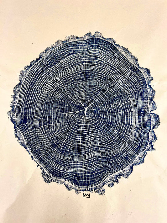 Chestnut Oak Tree Print