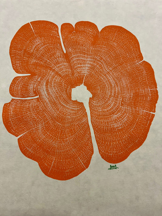 Eastern Red Cedar No. 67 Tree Print