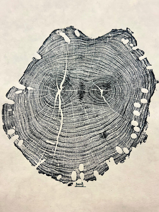 Honey Mesquite No. 2 Tree Print