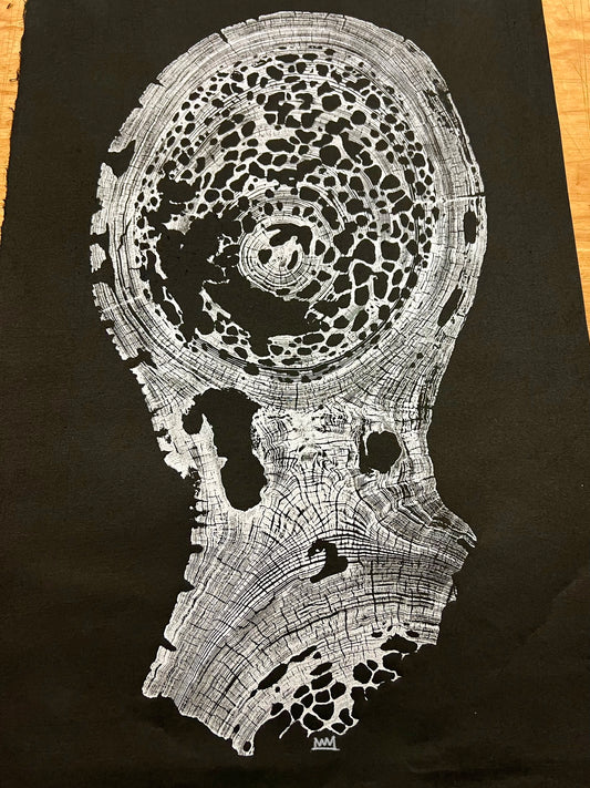 “Silver Sinker Cypress” Tree Print