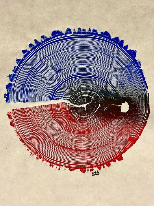 “Meet In The Middle” American Elm #33 Tree Print
