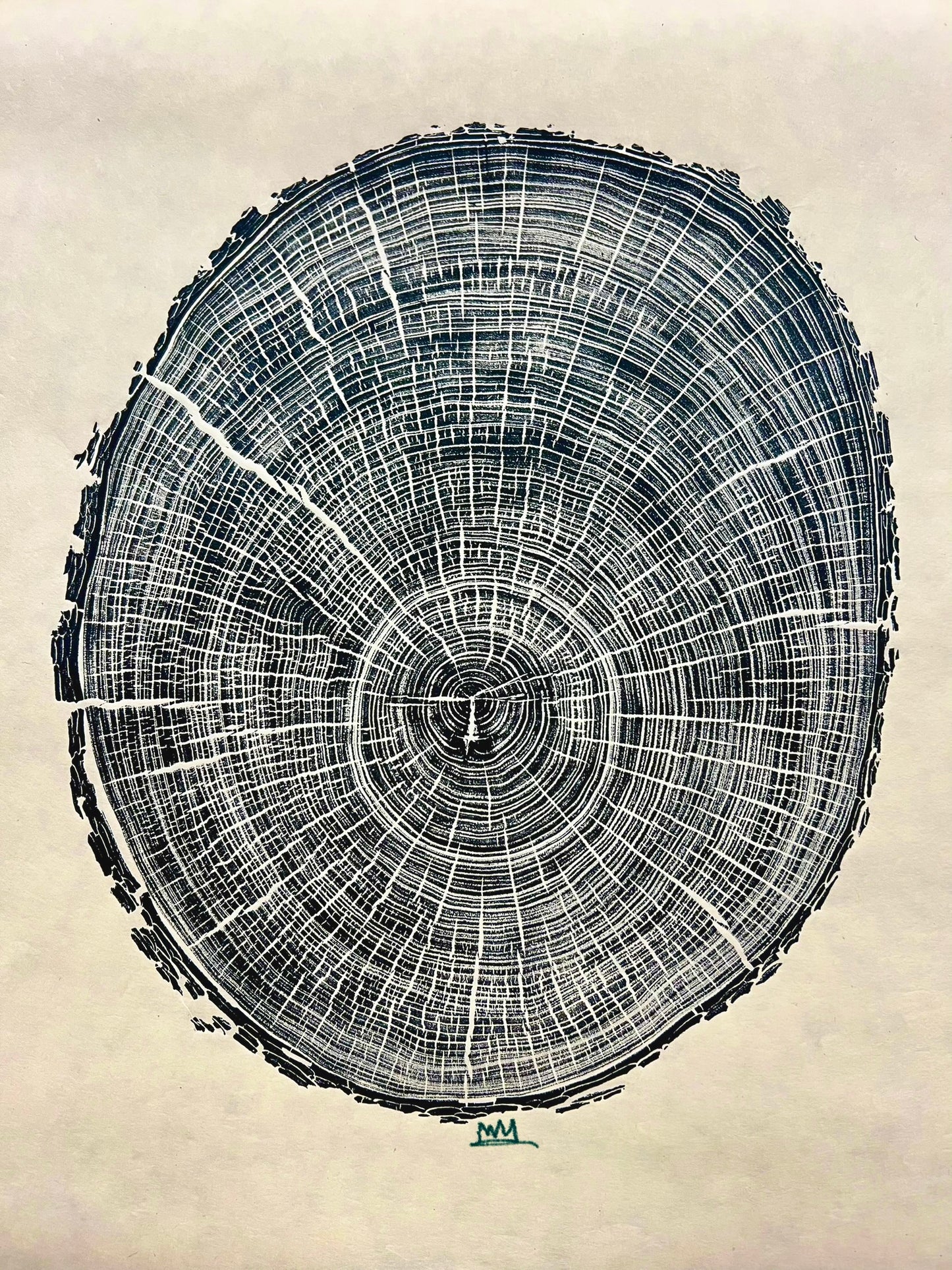 Texas Cedar Elm Tree Print