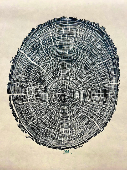 Texas Cedar Elm Tree Print