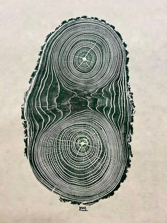 Chinaberry #2 Tree Print