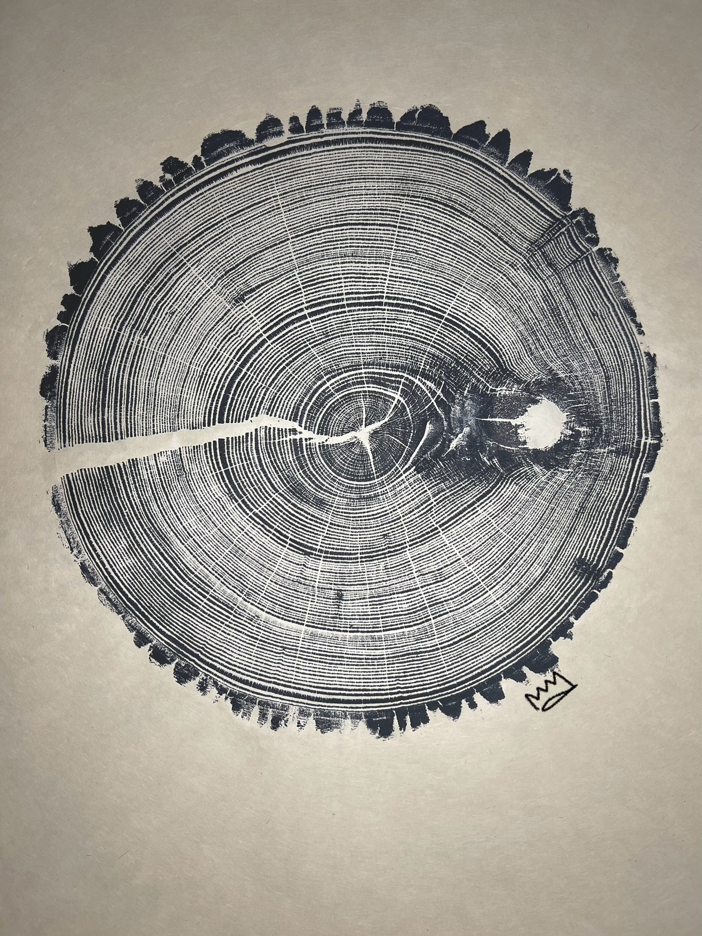 American Elm #2 Tree Print