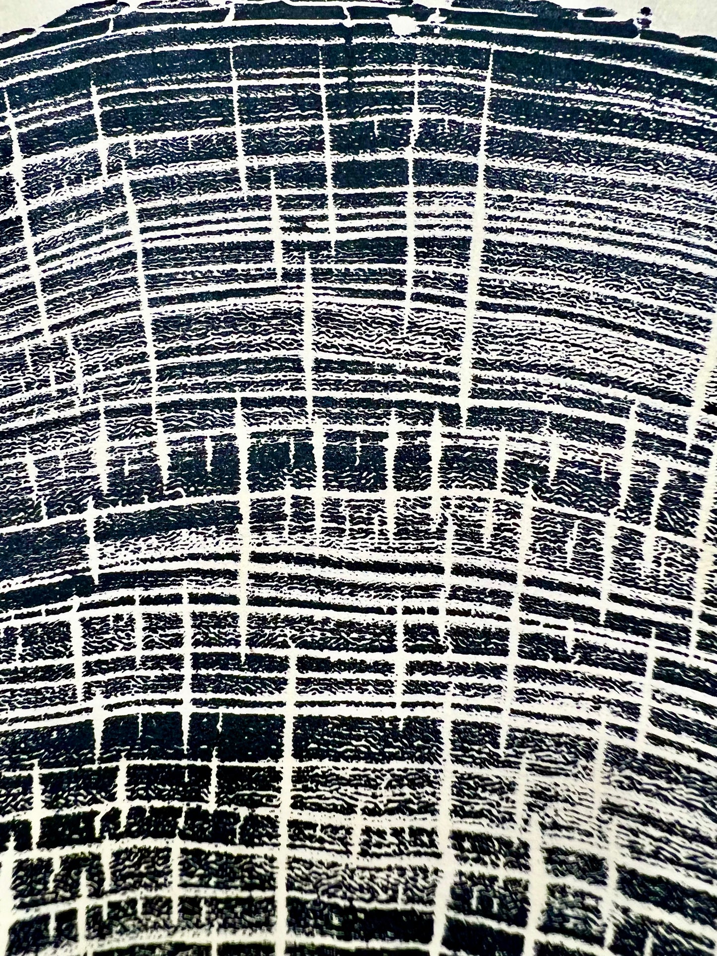 Texas Cedar Elm Tree Print